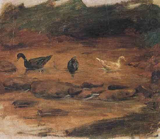 Ducks, Benedito Calixto